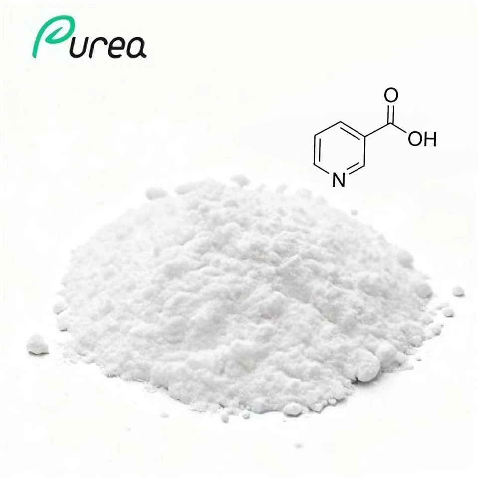Serbuk Vitamin B3 Pukal